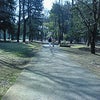 2009/02/12の画像