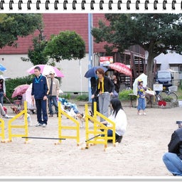 画像 【わんわん運動会ｉｎ２００８！！】Part3♪ の記事より 11つ目