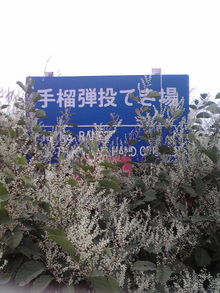 2008090714390000.jpg