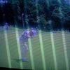 こんなことになるとは・・・・。の画像