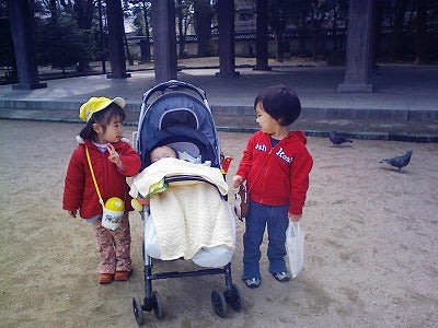 ひまわり園だより