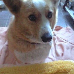 hiro-chanさんのﾌﾞﾛｸﾞ-090124_1515~0002.jpg
