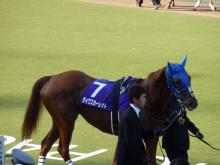 ウマキュン！！！-2008天皇賞秋1