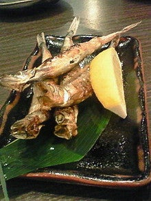 NEC_0309.jpg