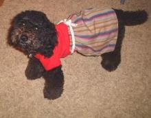 nana353