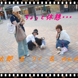 画像 ２００８年　遠足♪　土岐プレミアムアウトレット！！ の記事より 19つ目