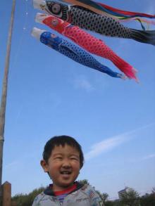 koinoboritoburoguyou