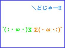 081125_01
