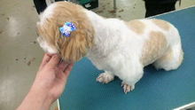 ☆☆☆JUN★LIFE☆☆☆-2009030115060000.jpg