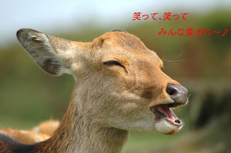fuku