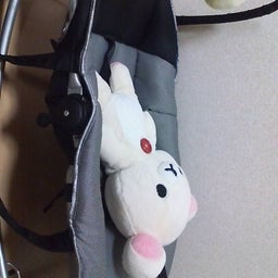 つぶやき(･ш･)ﾋﾞｰﾊﾞｰ-20081210063617.jpg