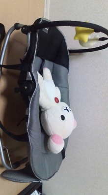 つぶやき(･ш･)ﾋﾞｰﾊﾞｰ-20081210063617.jpg