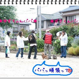 画像 【わんわん運動会！！ｉｎ２００８】Part２♪ の記事より 37つ目