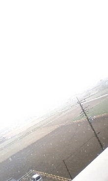 080123_1311~01.JPG