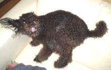 nana80