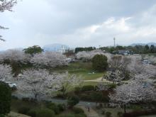菊池公園①