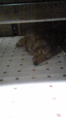 080817_155142.jpg