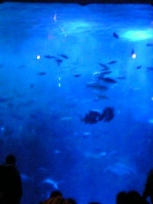 080209_164514_M.jpg