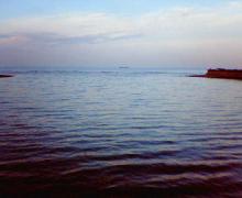 200701280719000.jpg