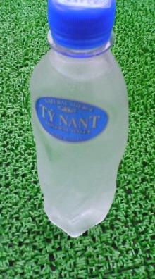 tynant