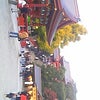 鎌倉のらの画像