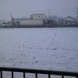 hiro-chanさんのﾌﾞﾛｸﾞ-090109_0721~0001.jpg