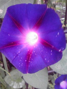 2008082411370000.jpg