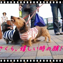 画像 ２００８年　遠足♪　土岐プレミアムアウトレット！！ の記事より 16つ目