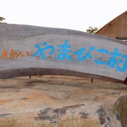 画像 おすすめのたまご の記事より 1つ目
