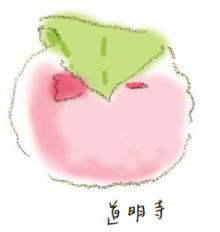 道明寺
