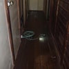 住まいを美しく＾＾の画像