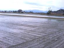 田植え