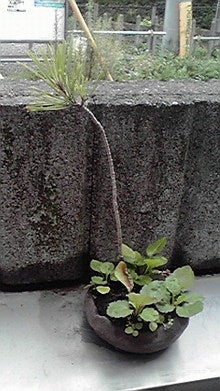 2008080410120000.jpg