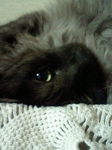 080521_1859~0001.jpg