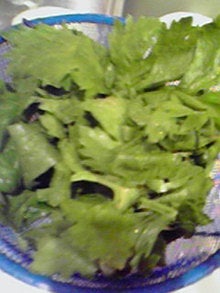 200710291756000.jpg