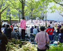200605031134000.jpg