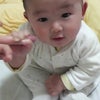 ただぃまぁぁ★の画像