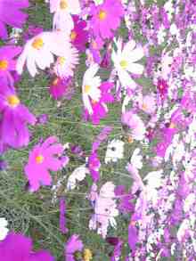 Image0631.jpg
