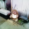 ﾀﾇｷｿｻｴﾃｨの画像