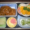 今日のお弁当とピアノの先生の画像