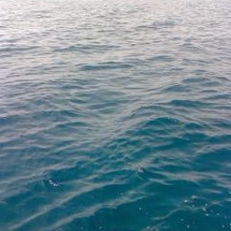 2008_1003_1036