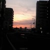 朝ですよ(-_-)y-~の画像