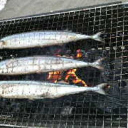 画像 BBQ の記事より 4つ目