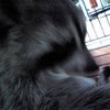 今日のビス(^-^)/の画像