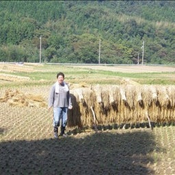 画像 農業 の記事より 1つ目