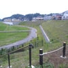ON THE HILLの画像