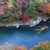 紅葉の画像