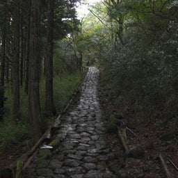 画像 小田急ハイキング『箱根』を歩く の記事より 11つ目