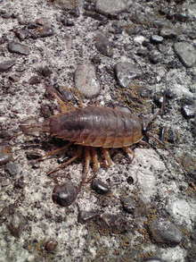 2008090211130000.jpg