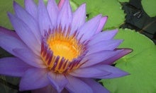 CA390027.JPG